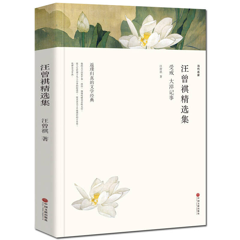 汪曾祺精选集 当代文学图书