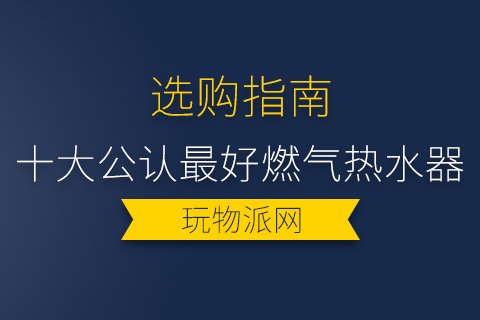 2024年十大公认最好燃气热水器