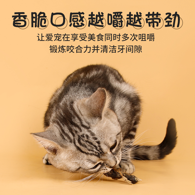 冻干猫零食猫咪鹌鹑混合桶成幼猫粮