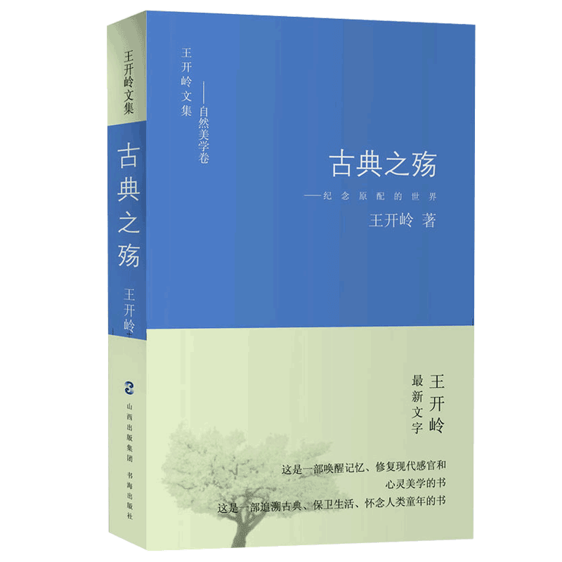 正版 古典之殇 纪念原配的世界 王开岭文集 精神明亮的人作者经典青春文学情感小说 中国现当代经典文学名著 正版畅销书籍排行榜