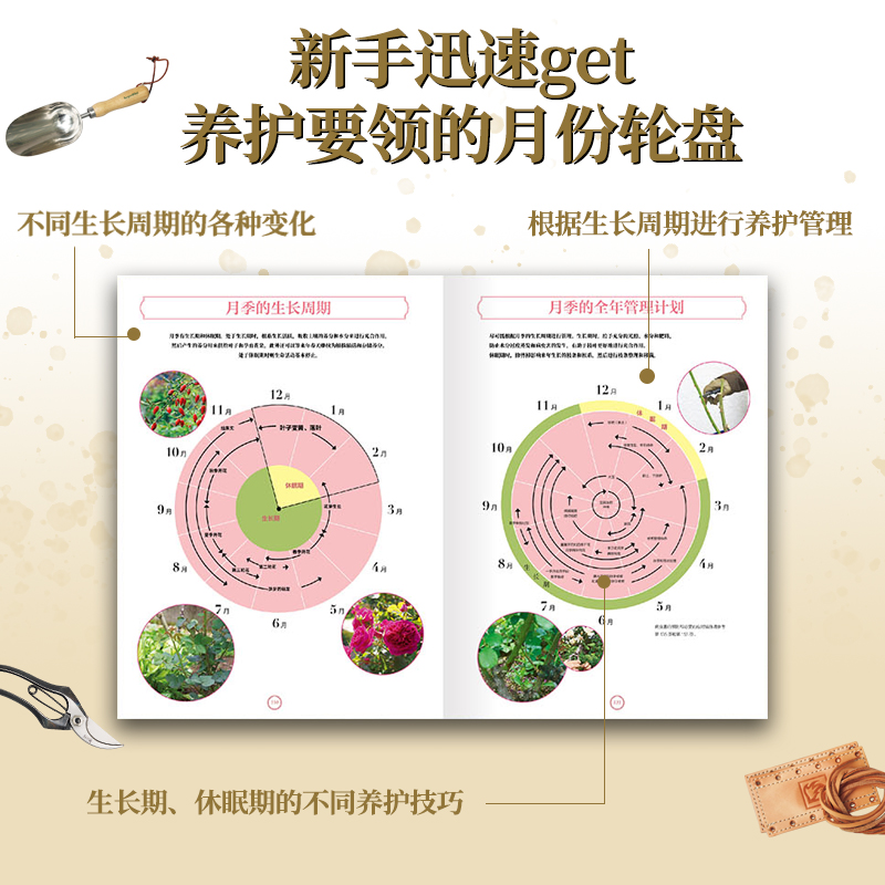 坤哥推荐包邮月季新手百科玫瑰书籍