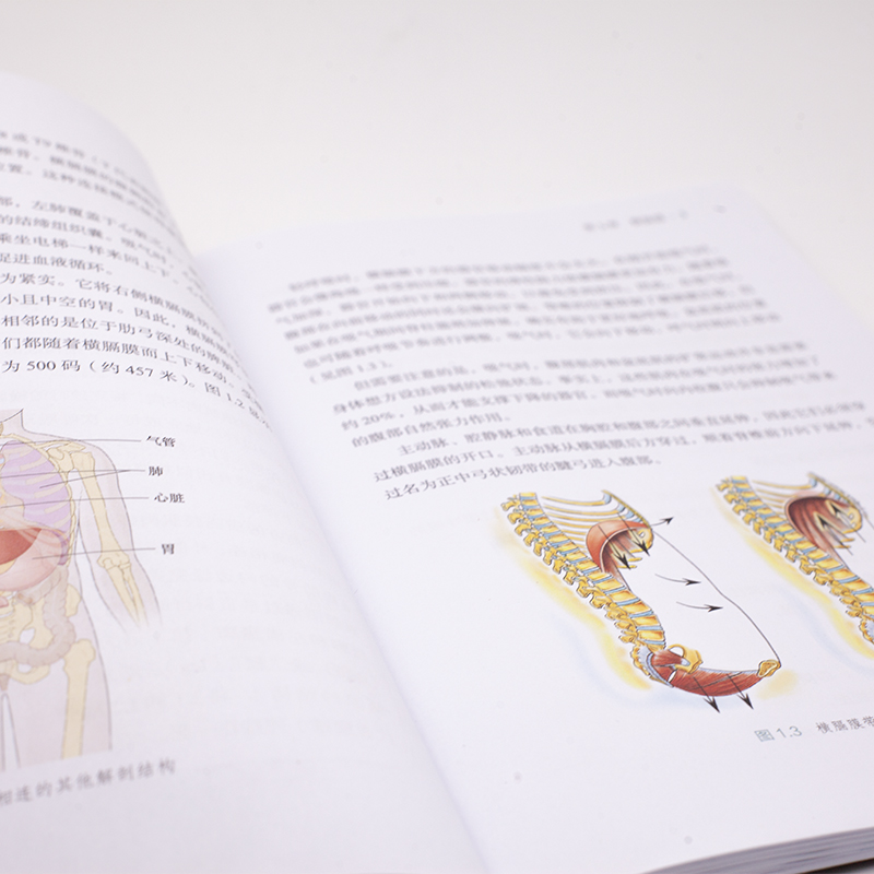 高效呼吸训练舞蹈瑜伽普拉提之间