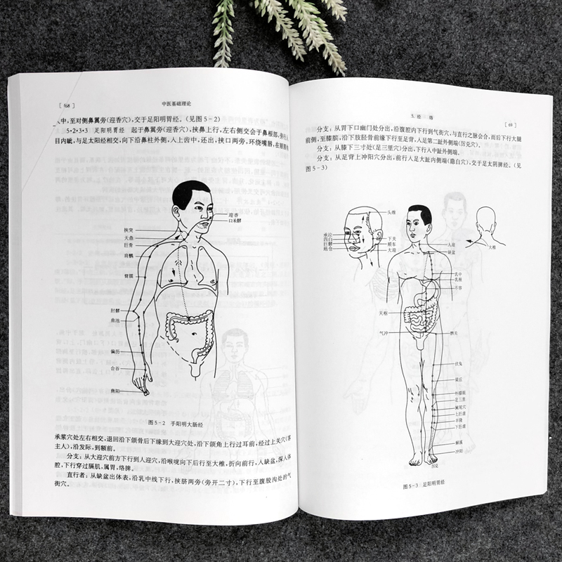 送黄帝内经 中医基础理论经典第五版上海科技出版社高等医药院校供针灸 畅销书专业用高校本科考研教材推荐书籍大全