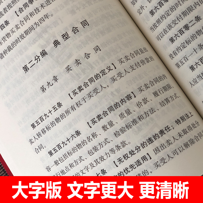 民法典2021年版正版大字版普及读物